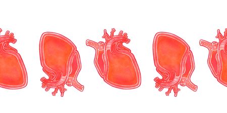 Watercolor realistic heart horisontal seamless pattern. Human heart illustrationの写真素材