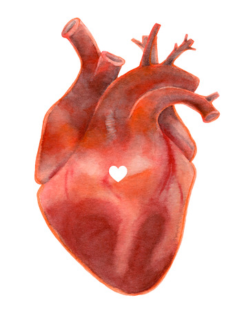 Watercolor realistic heart with heart symbol isolated on white backgroundの写真素材