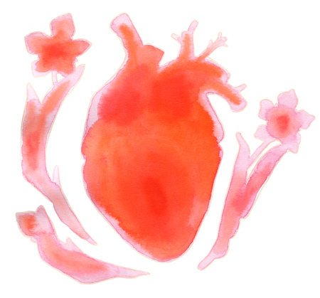 Watercolor realistic human heart with flowers isolated on white backgroundの写真素材