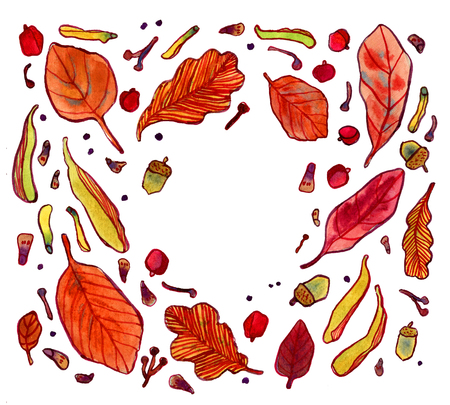 Watercolor autumn leaves, berries, acorns and tree seeds isolated on white, fall background with space for textの写真素材