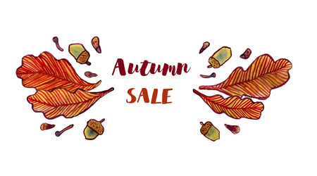 Watercolor autumn leaves, acorns and tree seeds, fall design elementの写真素材
