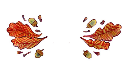Watercolor autumn leaves, acorns and tree seeds, fall design elementの写真素材