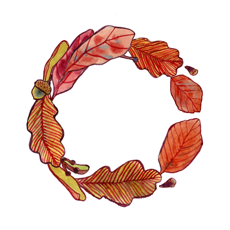 Watercolor autumn leaves, acorns and tree seeds, fall wreathの写真素材