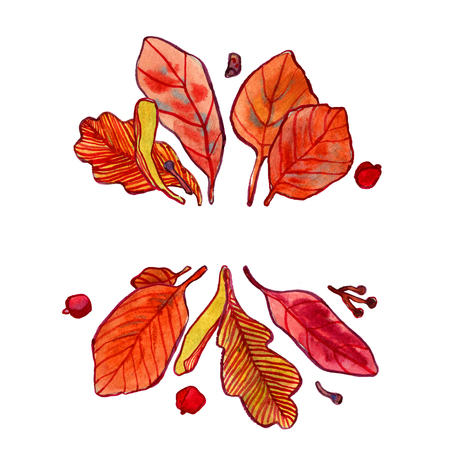 Watercolor autumn leaves, acorns and tree seeds, fall design elementの写真素材