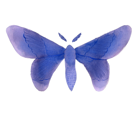 Fantasy simple watercolor blue butterfly isolated on whiteの写真素材