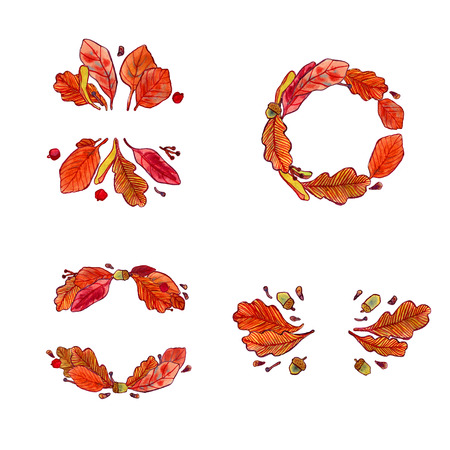 Watercolor autumn leaves, acorns and tree seeds, fall design elementの写真素材