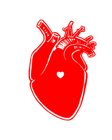 Realistic proportional human vector heart and heart symbol isolated on white backgroundのイラスト素材