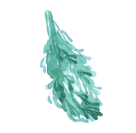 Mistletoe, Christmas watercolor isolated on white backgroundの写真素材