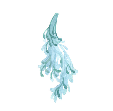 Mistletoe, Christmas watercolor isolated on white backgroundの写真素材