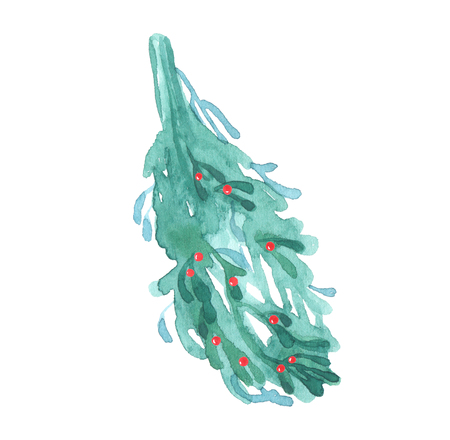 Mistletoe, Christmas watercolor isolated on white backgroundの写真素材
