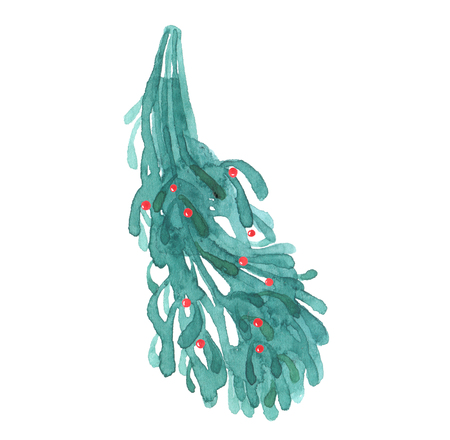 Mistletoe, Christmas watercolor isolated on white backgroundの写真素材