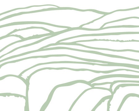 Vector rice or tea plantation on cascades fieldのイラスト素材
