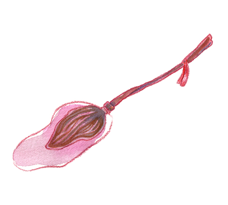 Watercolor cartoon broom with red ribbon isolated on whiteの写真素材