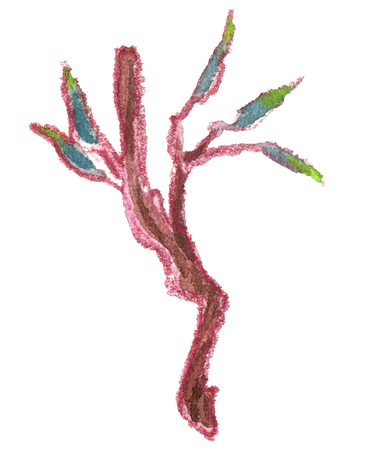 Watercolor willow branch isolated on white backgroundの写真素材