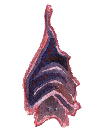Watercolor cartoon hanging upside down bat isolated on white backgroundの写真素材