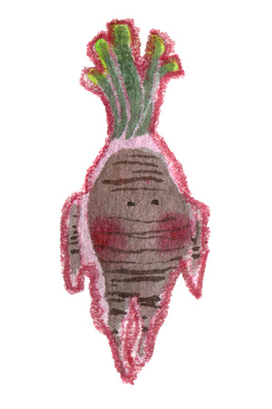 Cartoon watercolor mandrake character isolated on whiteの写真素材