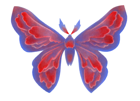 Fantasy watercolor whimsical butterfly on whiteの写真素材