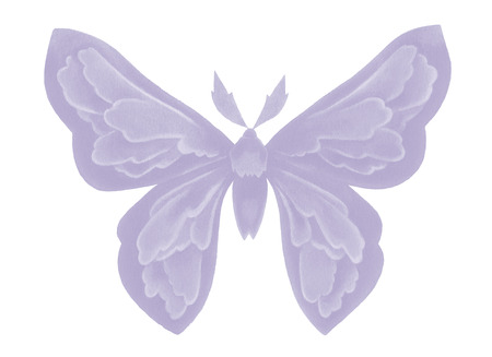 Fantasy watercolor whimsical butterfly on whiteの写真素材