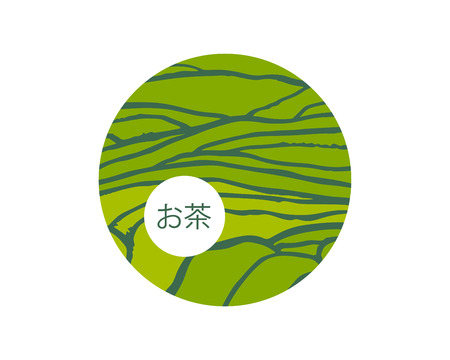 Tea plant fields. Vector tea plantation on cascades field. Tea title on Japaneseのイラスト素材