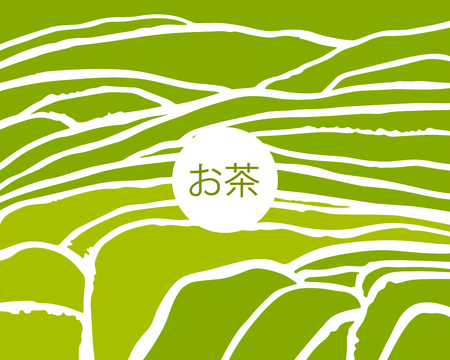 Tea plant fields. Vector tea plantation on cascades field. Tea title on Japaneseのイラスト素材