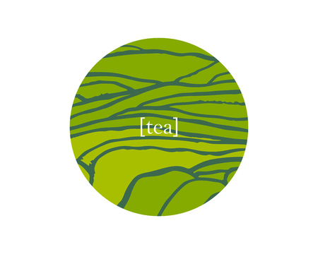 Tea plant fields. Vector tea plantation on cascades field. Tea titleのイラスト素材
