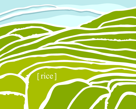 Rice fields. Plantation on cascades field. Rice titleのイラスト素材