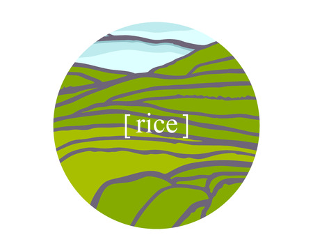 Rice fields. Plantation on cascades field. Rice titleのイラスト素材