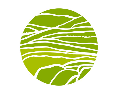 Rice or tea plantation on cascades field, vector illustration, top viewのイラスト素材