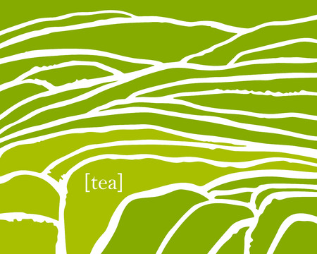 Tea plant fields. Vector tea plantation on cascades field. Tea titleのイラスト素材