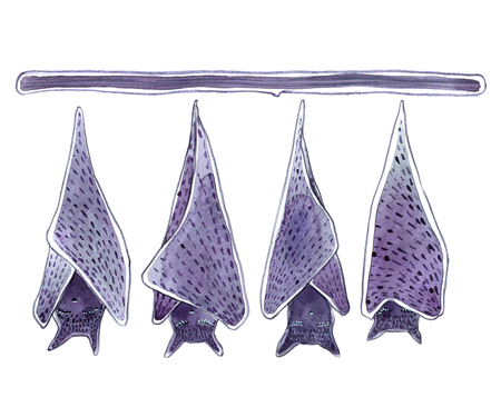 Watercolor cartoon hanging upside down bats isolated on white background - Illustrationの写真素材
