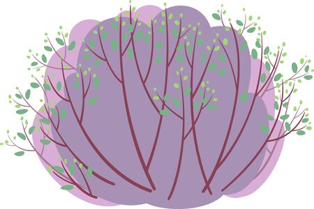 Spring bush with light green new leaves isolated on whiteのイラスト素材
