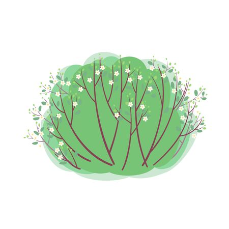 Spring blooming bush with new light green leaves and white flowersのイラスト素材