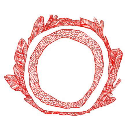 Red hand drawn ink frame isolated on white. Fish scale and leavesの写真素材