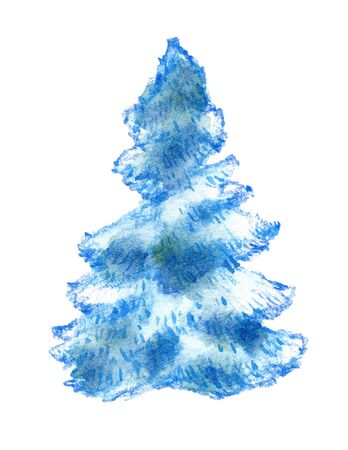 Spruce, christmas tree illustration, pencil and watercolorの写真素材