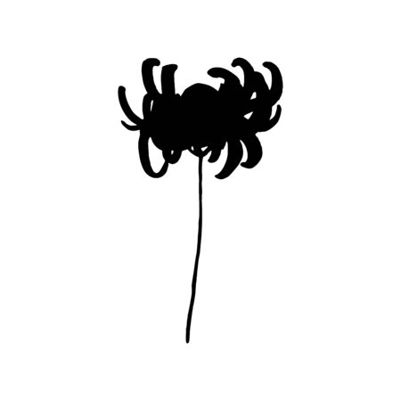 Stylized Chrysanthemum flower. Black silhouette isolated on whiteのイラスト素材