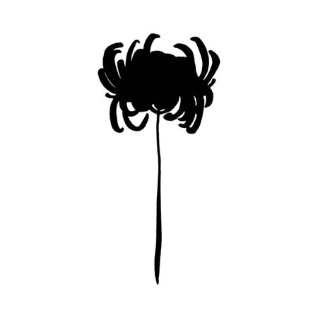 Stylized Chrysanthemum flower. Black silhouette isolated on whiteのイラスト素材