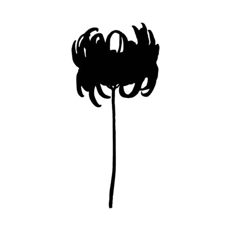 Stylized Chrysanthemum flower. Black silhouette isolated on whiteのイラスト素材