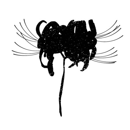 Hand drawn spider lily silhouette isolated on whitのイラスト素材