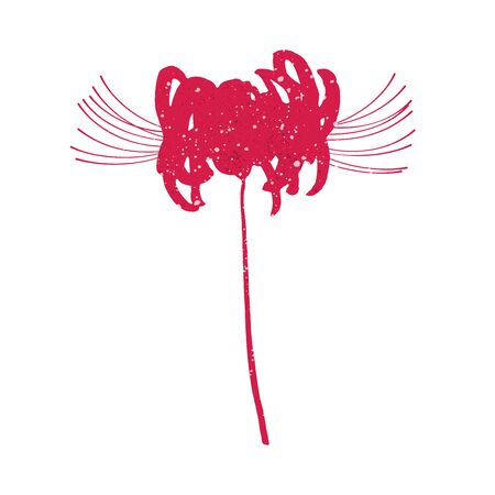 Hand drawn spider lily silhouette isolated on whitのイラスト素材