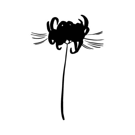Hand drawn spider lily silhouette isolated on whitのイラスト素材