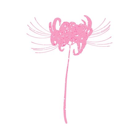 Hand drawn spider lily silhouette isolated on whitのイラスト素材