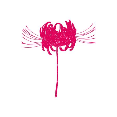 Hand drawn spider lily silhouette isolated on whitのイラスト素材