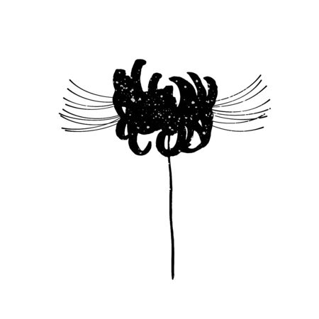 Hand drawn spider lily silhouette isolated on whitのイラスト素材