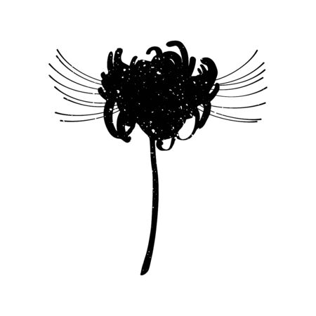 Hand drawn spider lily silhouette isolated on whitのイラスト素材