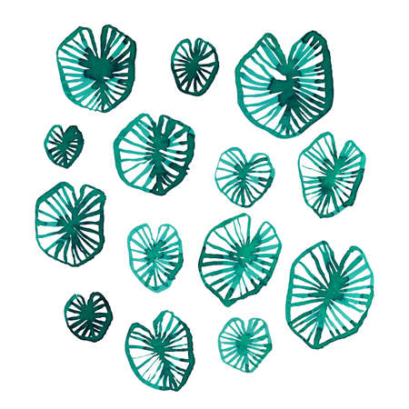 Minimalistic watercolor water lily leaves on whiteの写真素材