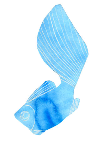 Blue fish isolated on whiteの写真素材