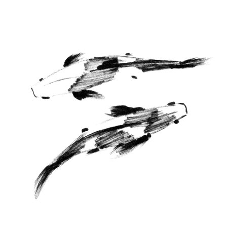 Sketch of pair japanese koi fishes, top viewの写真素材