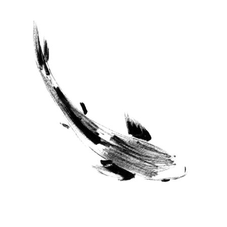 Sketch of japanese koi fish, top viewの写真素材