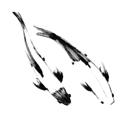 Sketch of pair japanese koi fishes, top viewの写真素材