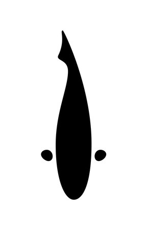 Japanese koi fish on white, top viewのイラスト素材